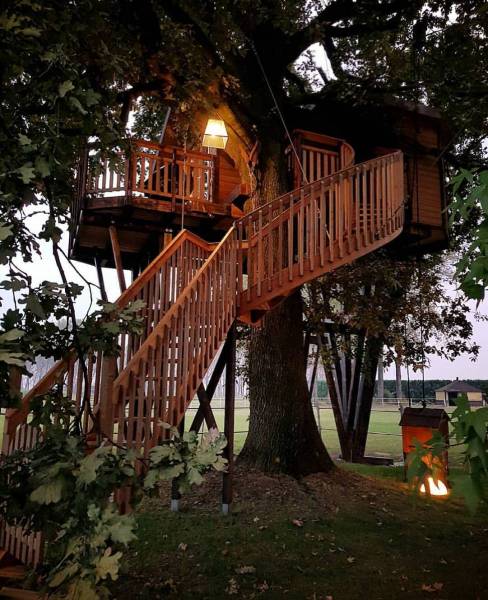 casa albero Posti particolari dove dormire: Casa sull'Albero