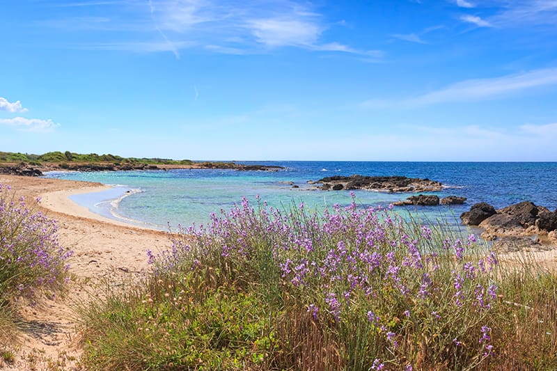 Vista della costa di Salve